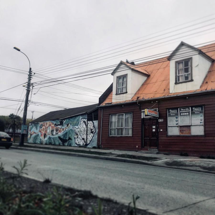 Patagonia House Vandrehjem Punta Arenas Eksteriør billede