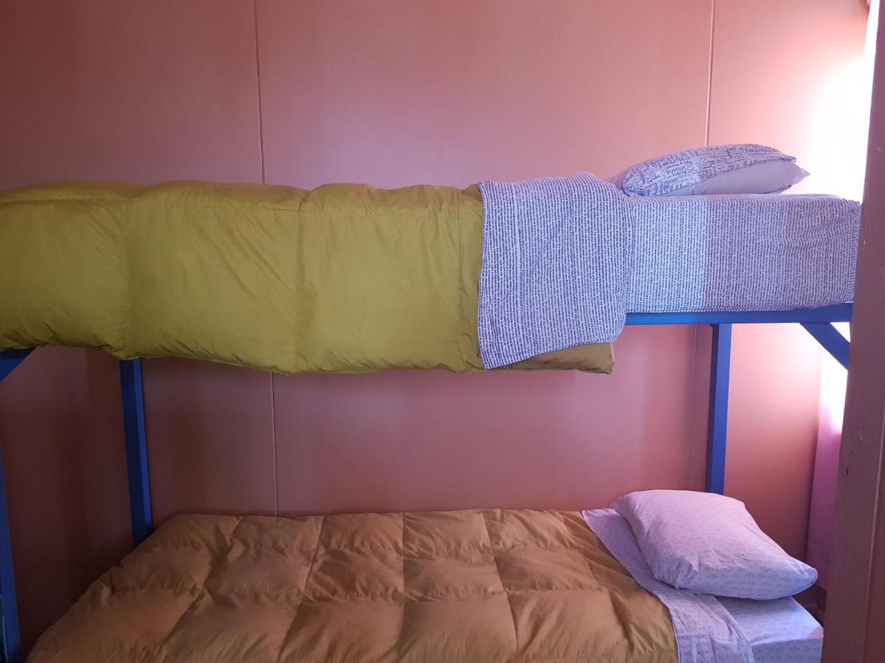 Patagonia House Vandrehjem Punta Arenas Eksteriør billede