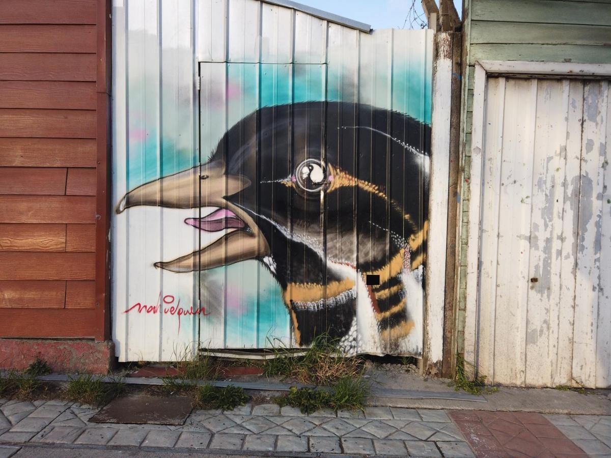 Patagonia House Vandrehjem Punta Arenas Eksteriør billede
